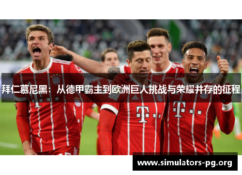 拜仁慕尼黑：从德甲霸主到欧洲巨人挑战与荣耀并存的征程