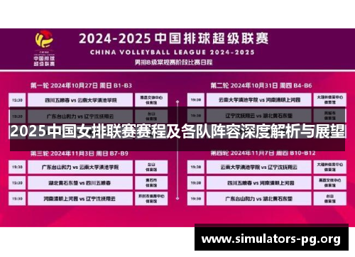 2025中国女排联赛赛程及各队阵容深度解析与展望