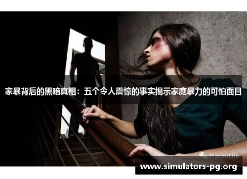 家暴背后的黑暗真相：五个令人震惊的事实揭示家庭暴力的可怕面目
