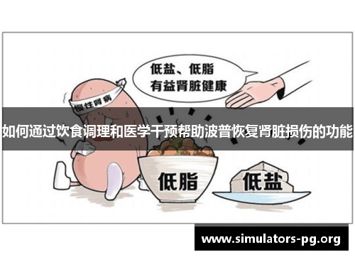 如何通过饮食调理和医学干预帮助波普恢复肾脏损伤的功能