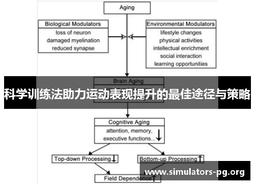 科学训练法助力运动表现提升的最佳途径与策略