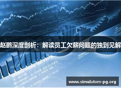 赵鹏深度剖析:解读员工欠薪问题的独到见解