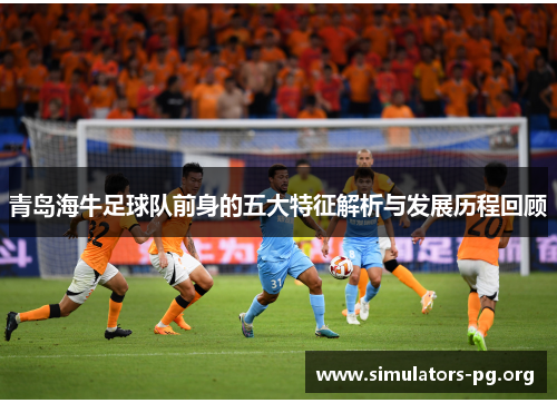青岛海牛足球队前身的五大特征解析与发展历程回顾