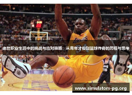 老詹职业生涯中的挑战与应对策略:从青年才俊到篮球传奇的历程与思考 老詹职业生涯中的挑战与应对策略:从青年才俊到篮球传奇的历程与思考